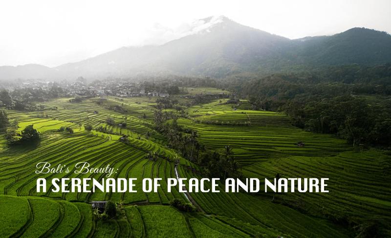 Luxury Off Plan Villa Investment in Bali with Freehold and Leasehold in Kelating Tabanan - [4]