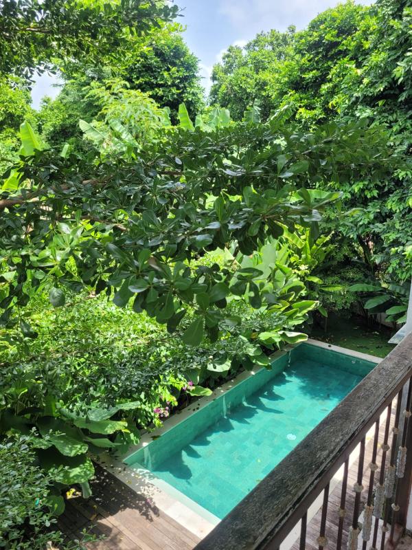 Villa for Rent Monthly and Yearly in Goa Gong Jimbaran Near Melasti Beach - [4]