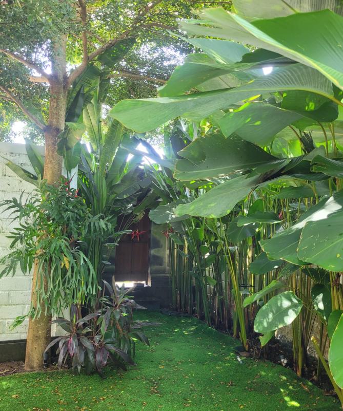 Villa for Rent Monthly and Yearly in Goa Gong Jimbaran Near Melasti Beach - [10]