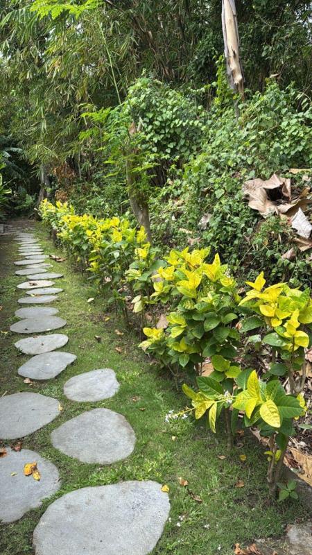 1 Bedroom Furnished Villa for Rent in Kerobokan Quiet Area with Private Pool and Regular Maintenance - [8]