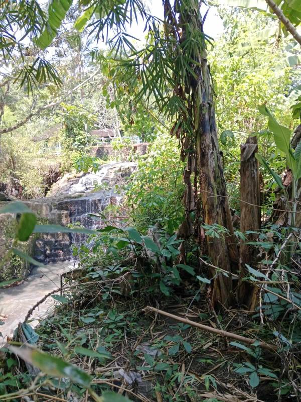 18 Are Land for Sale in Tabanan Near the River with Yellow Zone and Freehold Title - [1]