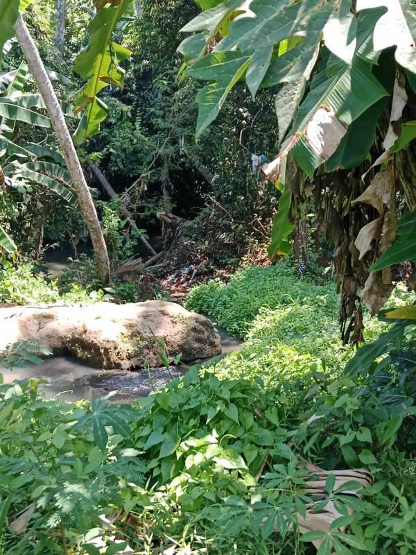 18 Are Land for Sale in Tabanan Near the River with Yellow Zone and Freehold Title - [2]