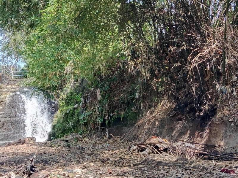 18 Are Land for Sale in Tabanan Near the River with Yellow Zone and Freehold Title - [4]