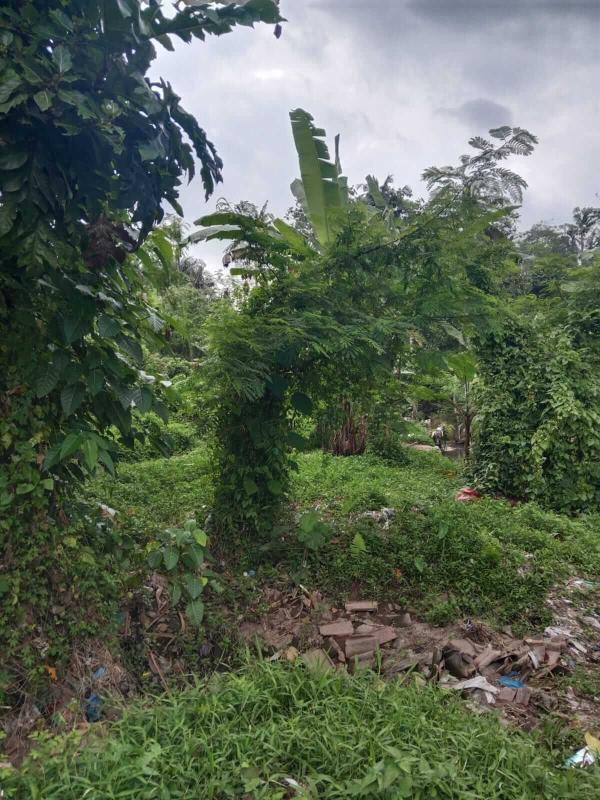 18 Are Land for Sale in Tabanan Near the River with Yellow Zone and Freehold Title - [6]