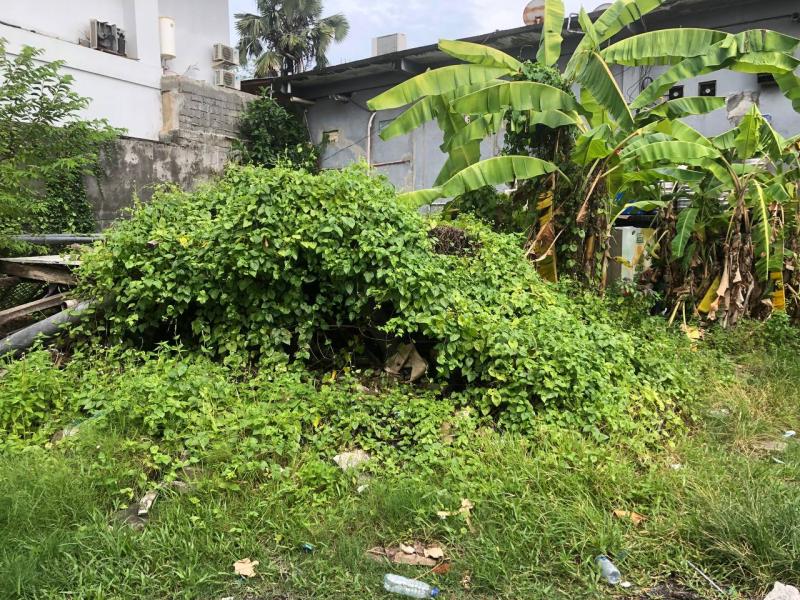 For Sale 300m² Leasehold Land in Batu Bolong Tourism Zone 1 Minute to the Beach - [2]