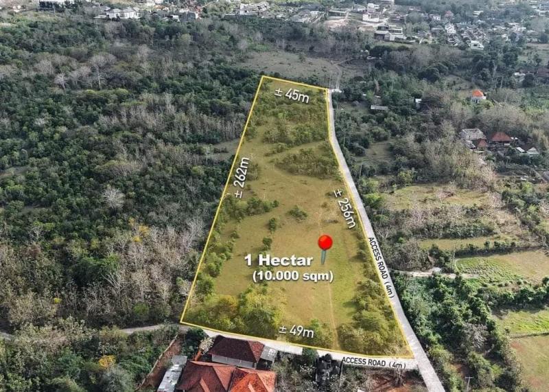 listing-image