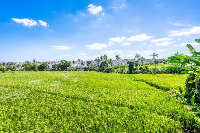 Cozy Villa for Monthly Rent in Tumbak Bayuh with Stunning Rice Field Views - [12]