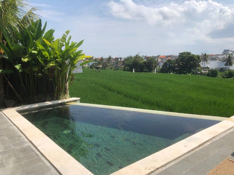 Cozy Villa for Monthly Rent in Tumbak Bayuh with Stunning Rice Field Views - [28]