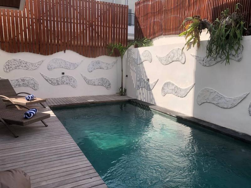 Brand New 3 Bedroom Villa for Yearly or Monthly Rent in Padonan Canggu - [6]