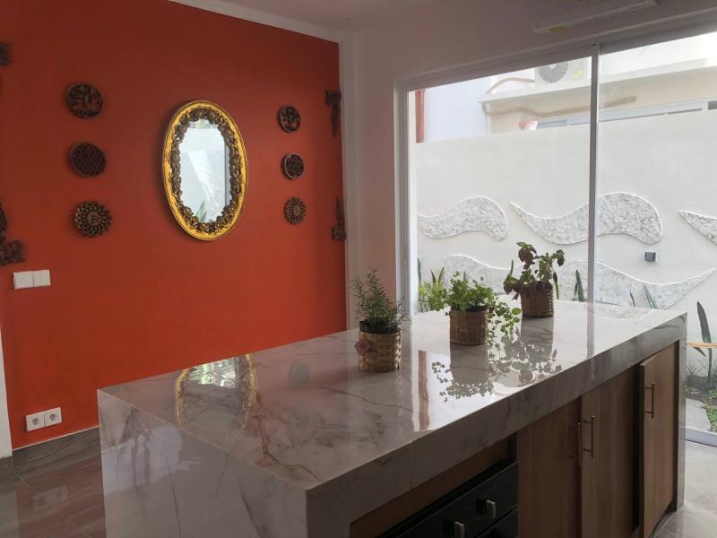 Brand New 3 Bedroom Villa for Yearly or Monthly Rent in Padonan Canggu - [9]