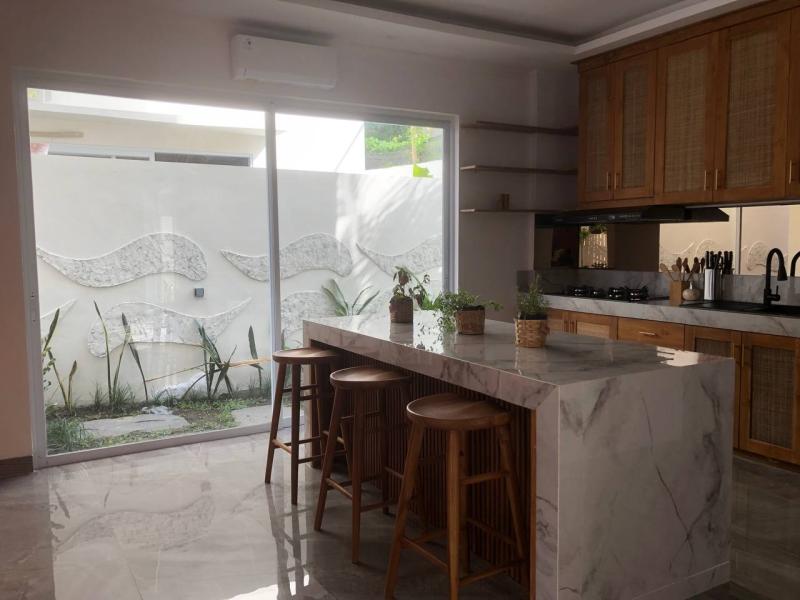 Brand New 3 Bedroom Villa for Yearly or Monthly Rent in Padonan Canggu - [11]